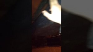 Ремонт моторчика стеклоочистителя Ниссан икстрейл т31. Зависший дворник . Как починить заднюю щётку