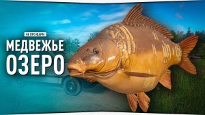 Медвежье озеро - Карп • Русская Рыбалка 4