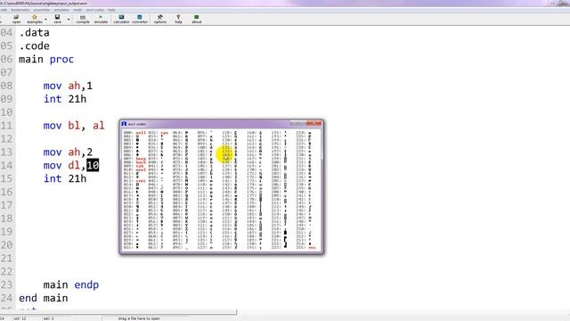 Assembly Language New Line And  Carriage Return