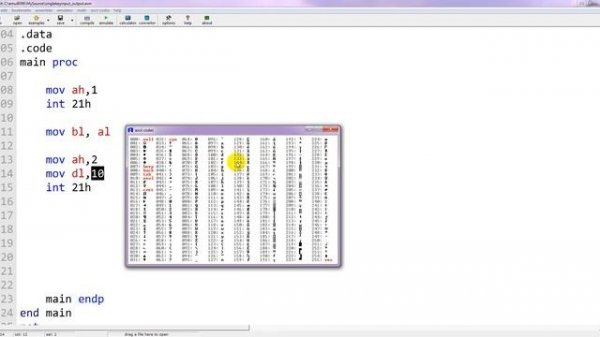 assembly language new line and carriage return