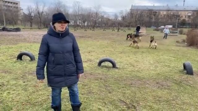 Почему нужно начинать дрессировать собаку после смены зубов? смотреть онлайн