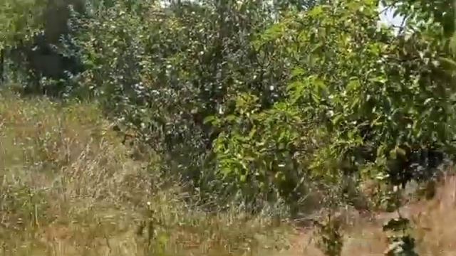 И такие случаи бывают. смотреть онлайн