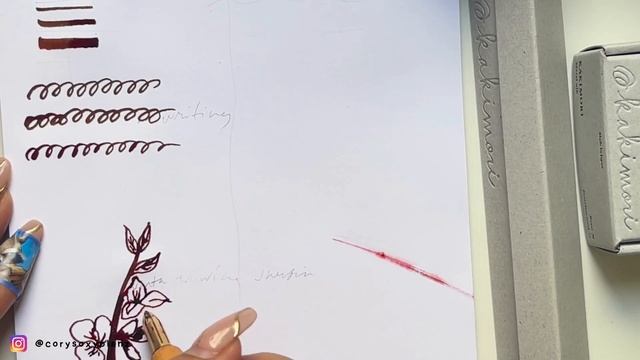 ? Kakimori Brass Nib + Sakura Holder: Review and Testing ?✨ | SO WORTH IT!!! #unboxing #pentest смотреть онлайн