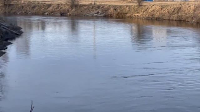 ДЕНЬ РОЖДЕНИЯ УРАЛОЧКИ РАЗ В ГОДУ. смотреть онлайн