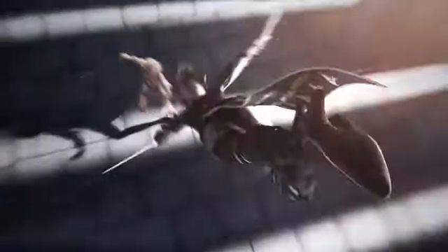 Lineage 2 Interlude-new pvp server смотреть онлайн