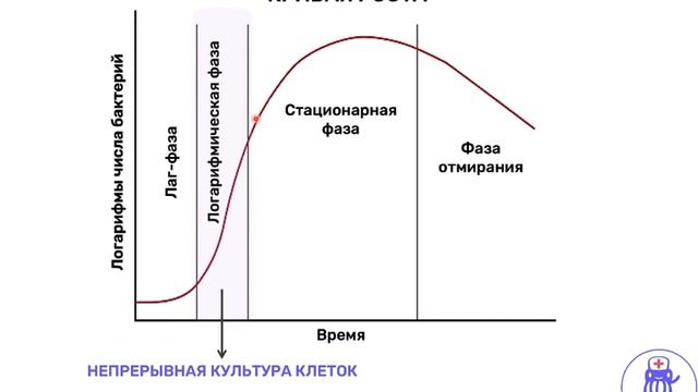 Рост культуры бактериальных клеток | Микробиология смотреть онлайн