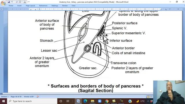 Anatomy GIT Module in English ( Pancreas ) , by Dr, Wahdan смотреть онлайн