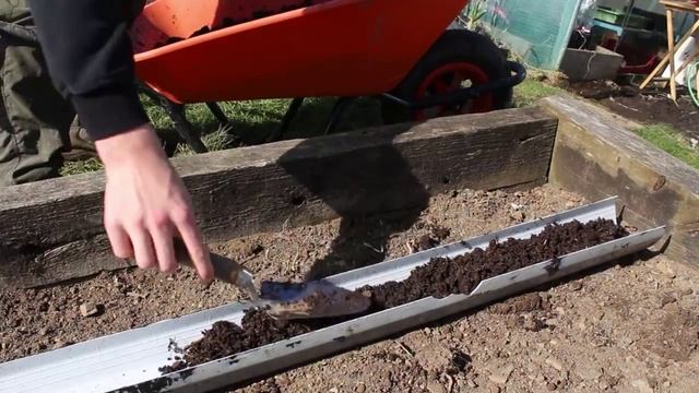 17 Brilliant FREE Vegetable Rus