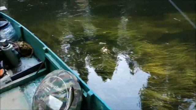 1 день сплава по таежной реке.Клевые моменты. смотреть онлайн