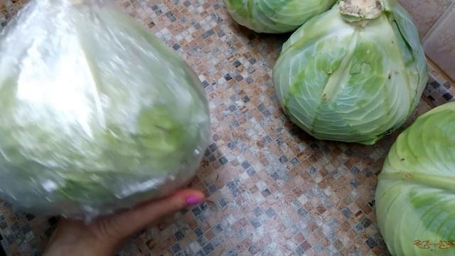 Как хранить капусту зимой до весны в погребе, на балконе и чердаке смотреть онлайн