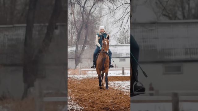 Пиши мне сделаем тебе фотки ❤️ #фотограф #фотосессия #лошади #фотографалматы #съемка смотреть онлайн