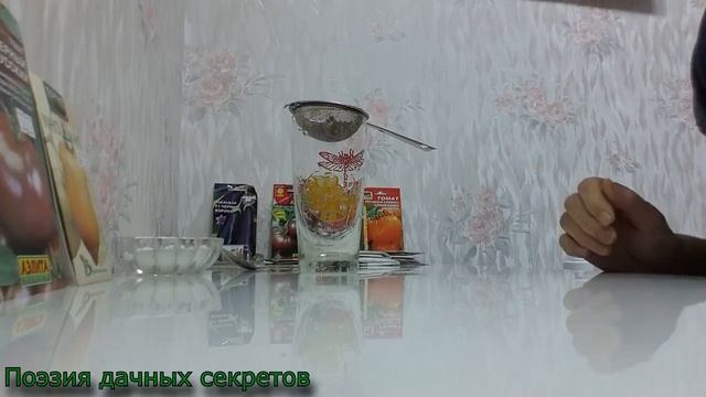 Подготовка семян помидоров к посеву. смотреть онлайн