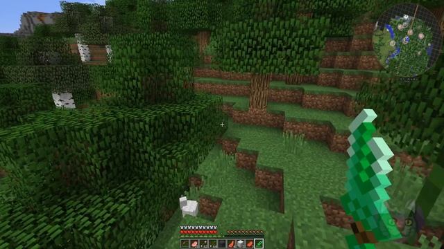ЗАНИМАТЕЛЬНАЯ ПУСТОТА! Minecraft карта The Mind of the Druid! смотреть онлайн