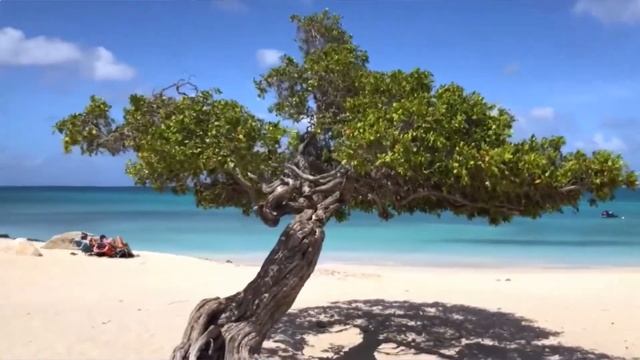 ПЛЯЖИ МИРА. Отдых на море . ПЯТЬ САМЫХ ЧИСТЫХ ПЛЯЖЕЙ МИРА !!! смотреть онлайн