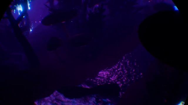Mind Labyrinth VR Dreams_20210326215543 смотреть онлайн