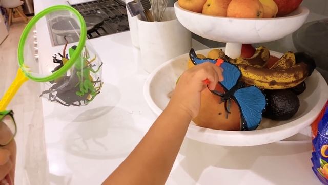 Ryan's Bug Catching at home Pretend Play and Learn Insect Facts for kids! смотреть онлайн