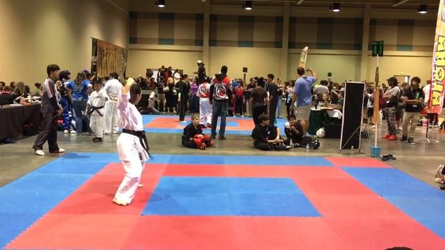 Elsa USKA Karate Kata 7/29/2017 смотреть онлайн