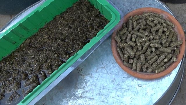 Люцерна - применение в садоводстве и огородничестве. Alfalfa pallets for roses смотреть онлайн