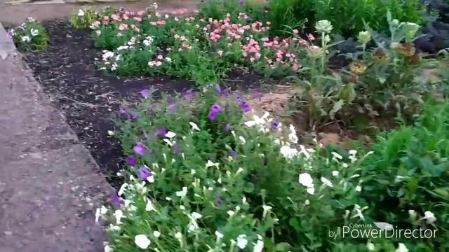 кудряш отдыхает смотреть онлайн