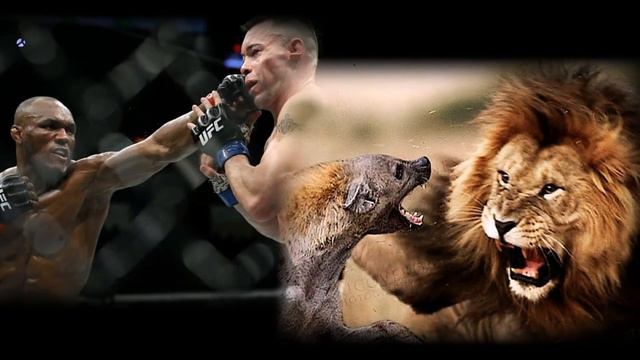 Колби Ковингтон Камару Усман |Реванш на UFC 267!Colby Covington Kamaru Usman / Rematch at UFC 267! смотреть онлайн