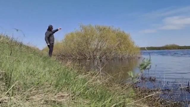 Открытие сезона жидкой воды . Perch Fishing Tips. #fishingvideo #fishcatching #kazakhstan #рыбалка смотреть онлайн