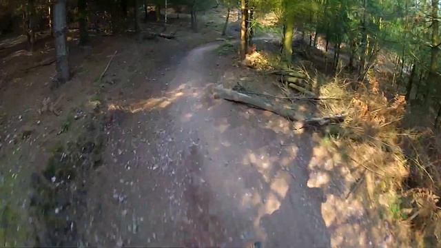 Cannock Chase - Follow the Dog Descent - 24th May 2012 смотреть онлайн