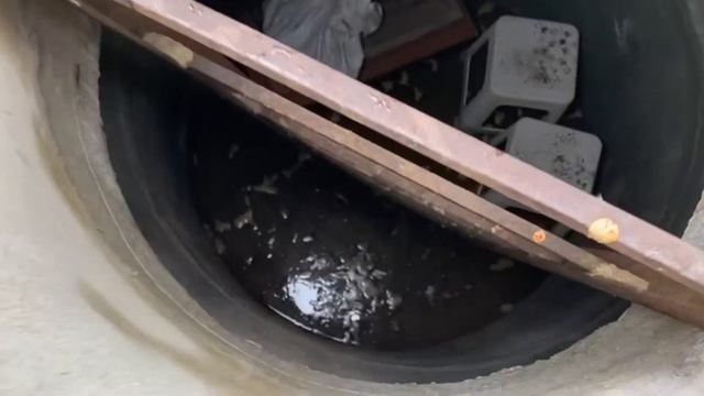 31.03.21. Весенние воды... смотреть онлайн