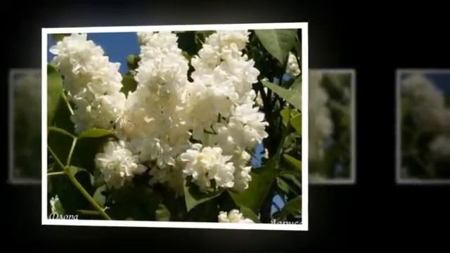 Капельки слезинки смотреть онлайн