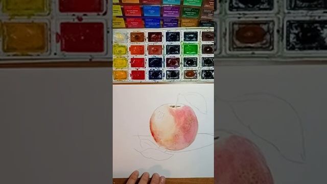 5 класс. Рисунок акварелью, передача объема. смотреть онлайн