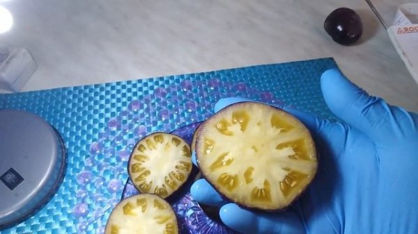 Обзор томатов в разрезе, сорт Сарт Ролуаз