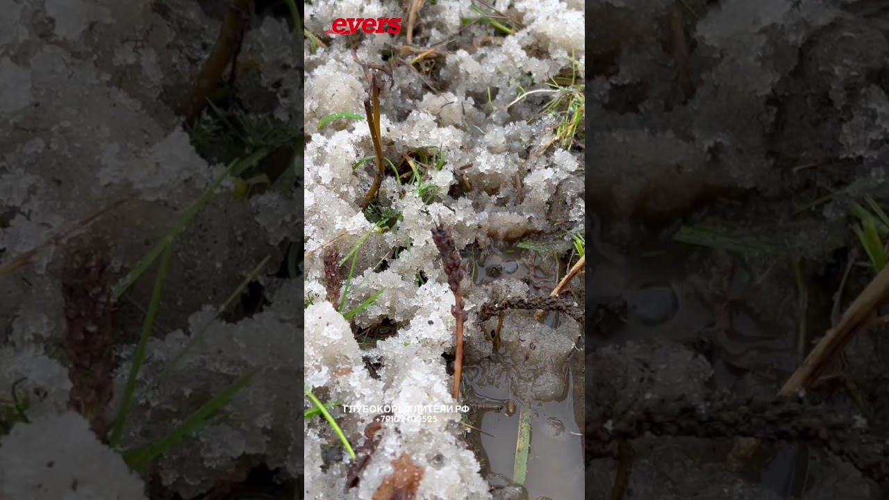 Луговые глубокорыхлители Evers по многолетке смотреть онлайн