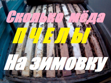Количество пчелы,мёда на зимовку 4 рамочным.Посылка - лекарства пчелам.Приняли чужую матку как свою. смотреть онлайн