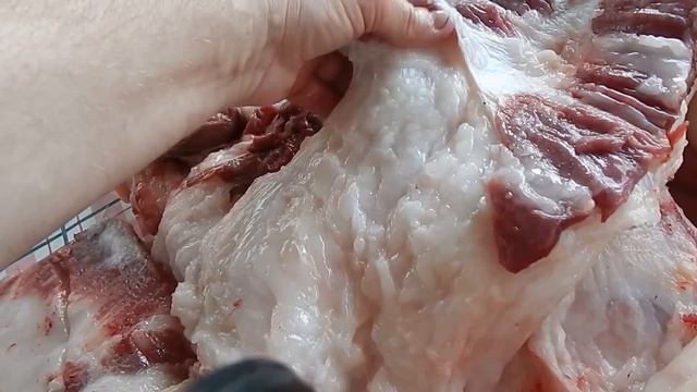 НЕЖНОЕ САЛО МАНГАЛИЦЫ смотреть онлайн