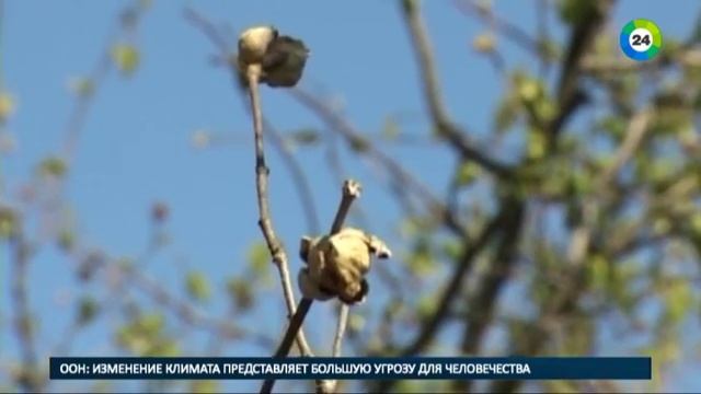 ha ha ha смотреть онлайн