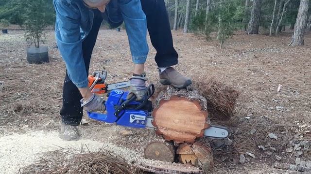 Huztl G366 MS361 Clone  FIRST CUTS  Holzfforma G366 Farmertec G366 Clone Of Stihl MS361 Copy