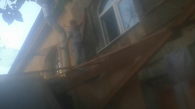 Чекнутая сломала навес во дворе ей 77 лет