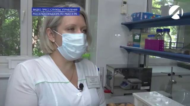 Специалисты Россельхознадзора проверили картофельное поле в Приволжском районе.mp4 смотреть онлайн