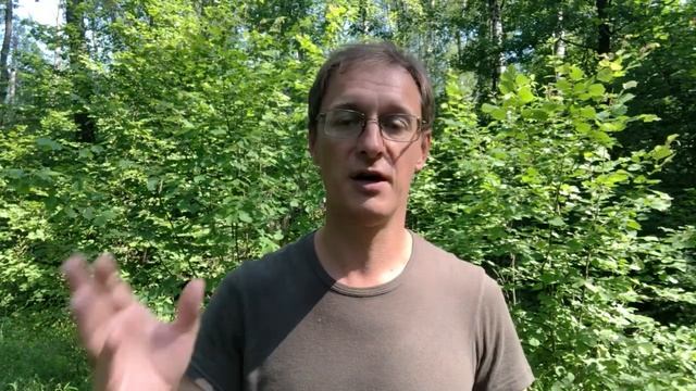 Включите уведомления, чтобы получать оповещения о новых видео смотреть онлайн