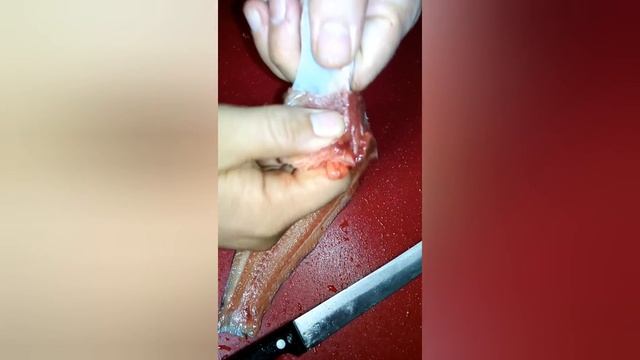 Снимаем шкуру с филе клариевого сома смотреть онлайн