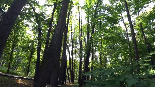 ПАРК ЦАРИЦЫНО. МОСКВА. ПРОгулка смотреть онлайн