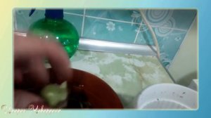 Как заставить цвести гиппеаструм