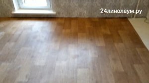 Укладка линолеума Таркетт Идиллия Нова Оксфорд 1 с полной приклейкой к  основанию Красноярск