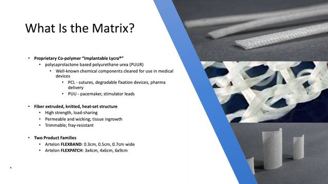 Webinar Series: Drs. Shibuya and Hyer Achilles Reconstruction смотреть онлайн