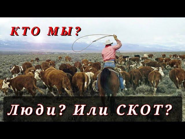 Мы заслуживаем такого обращения... Хочешь жить иначе? СМОТРИ ДО КОНЦА смотреть онлайн