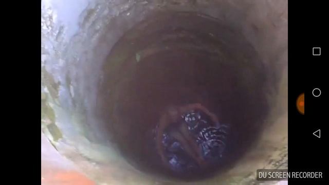 Достань видро из колодязь смотреть онлайн