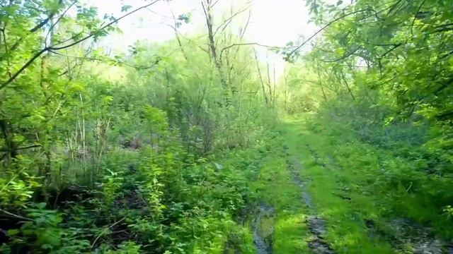 ВЛОГ: СХОДИЛИ НА РЕЧКУ В КАРАНТИН || Workout32 смотреть онлайн