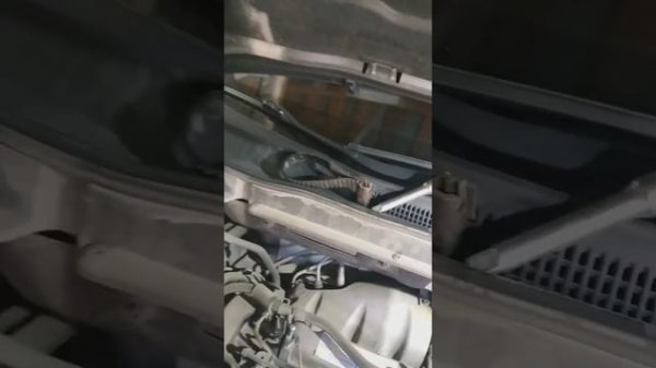 Как заменить масло и фильтра на санйонг актион