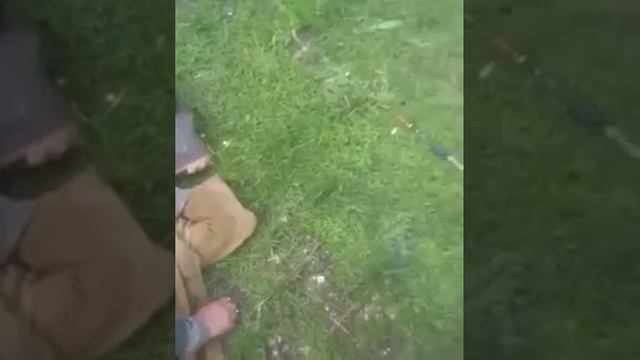 будет кто чай)