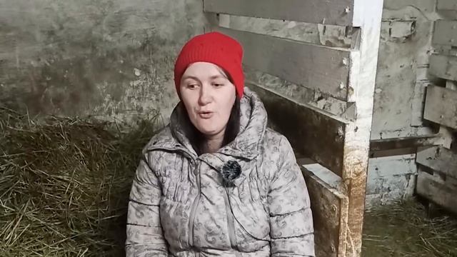 КАК НЕ ПРИНЕСТИ СЕБЯ И СВОИХ БЛИЗКИХ В ЖЕРТВУ?! ПРО МОИ РОДЫ И УХОД ЗА ЖИВОТНЫМИ.... смотреть онлайн