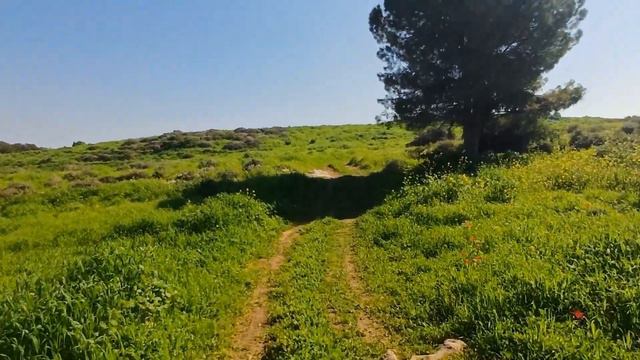 Библейский город Афек смотреть онлайн